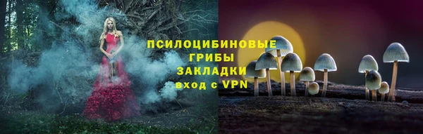 дурь Юрьев-Польский
