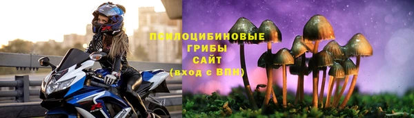 крисы Юрга