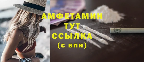 стаф Богданович