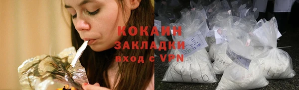 стаф Богданович