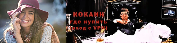 дживик Богородск