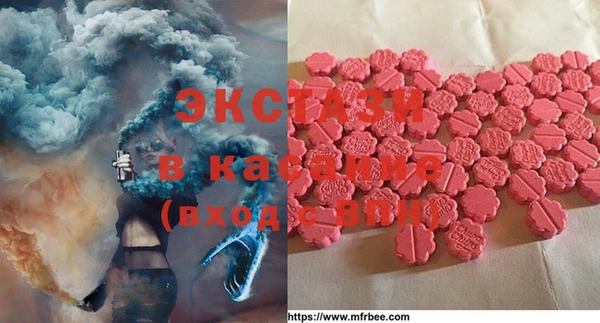 дживик Богородск