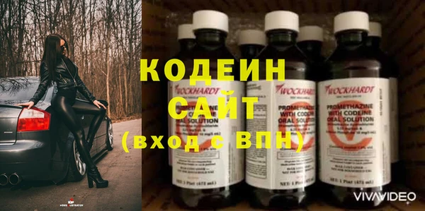 дживик Богородск