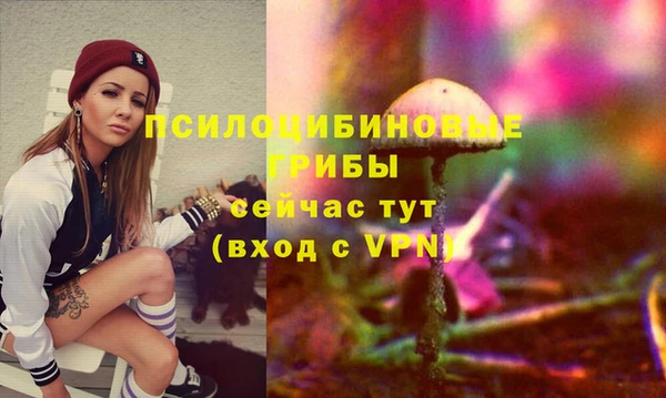 мдма Богородицк