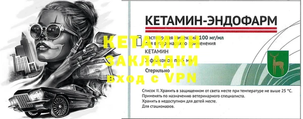 стаф Богданович
