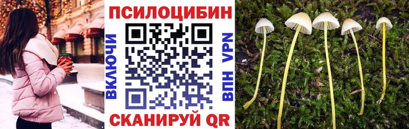 mega как зайти  Бор  Галлюциногенные грибы мицелий 